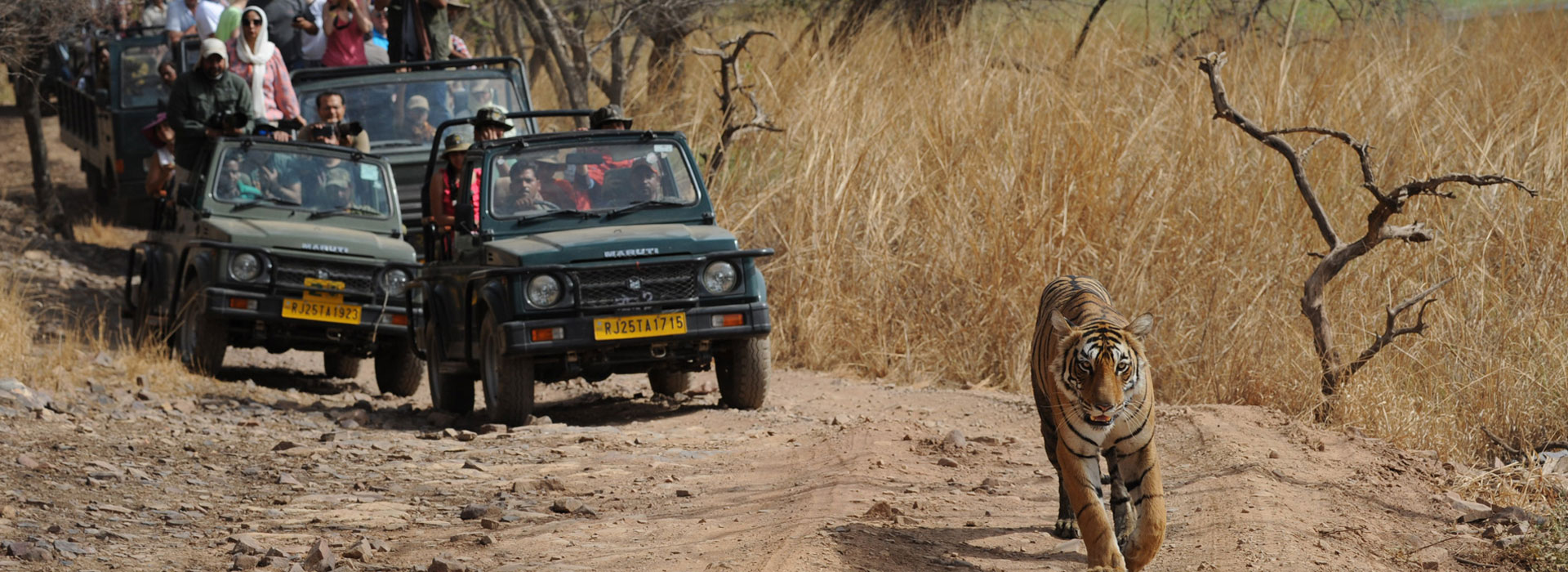 golden-triangle-tour-with-bharatpur-and-ranthambore-big