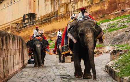 same-day-jaipur-small